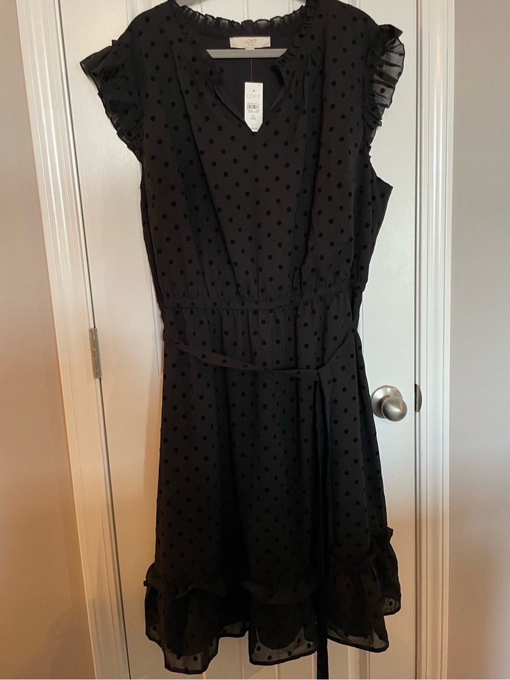 Loft Plus little black dress